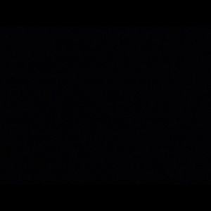 Meet your Posher, Holy